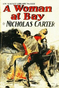 Capa do livro A Woman at Bay; Or, A Fiend in Skirts